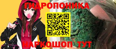 гидропоника Балахна