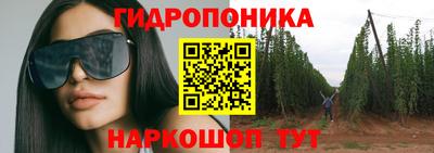 гидропоника Балахна