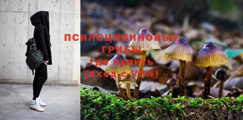 Галлюциногенные грибы MAGIC MUSHROOMS  цены наркотик  Коломна 