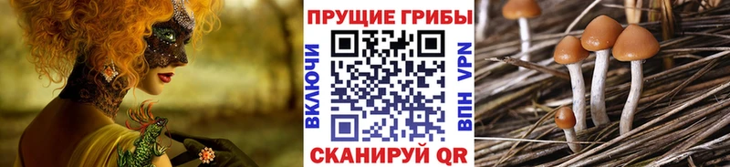 Галлюциногенные грибы прущие грибы  Коломна 
